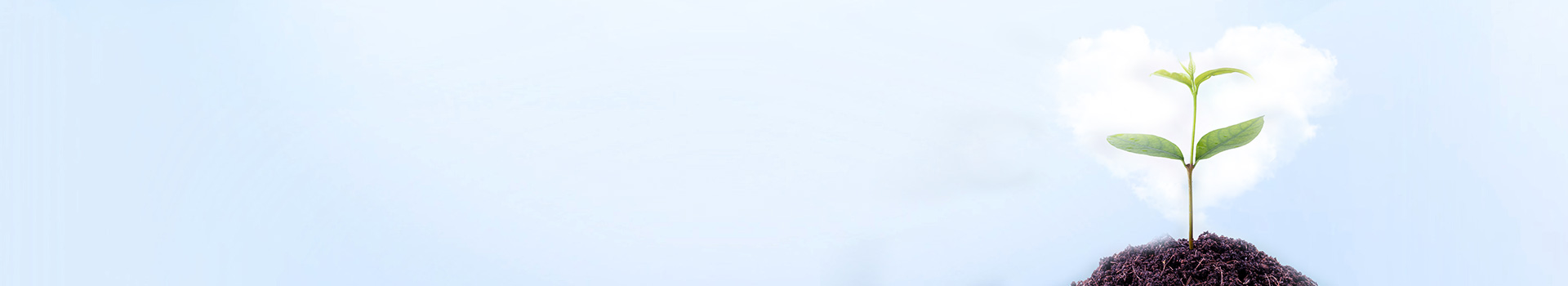 culture_banner06