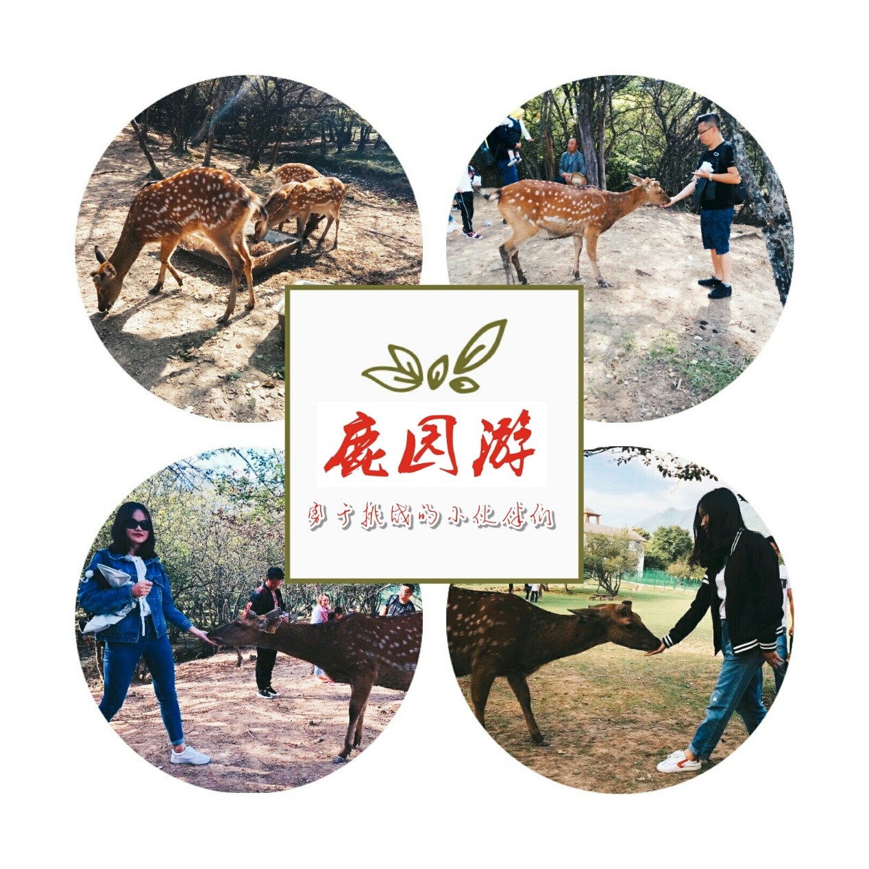 2018武汉团建05.jpg