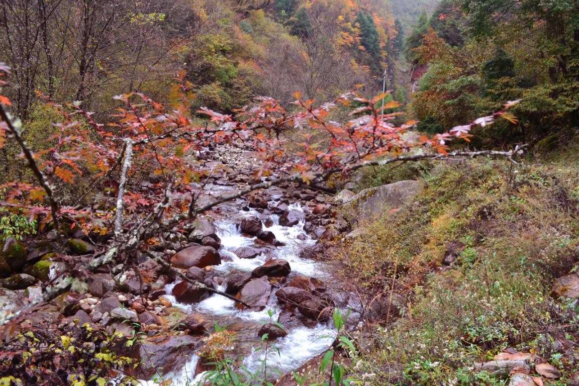 2019团建09.jpg
