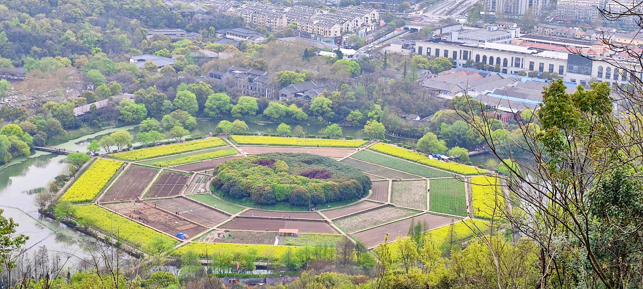 2021杭州登高01.png