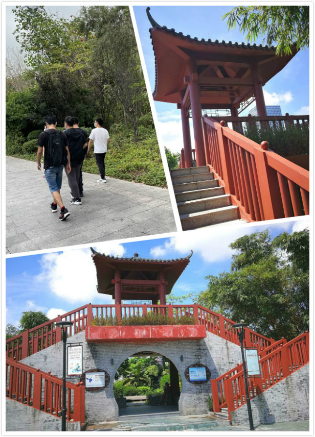 2021深圳踏青01.png