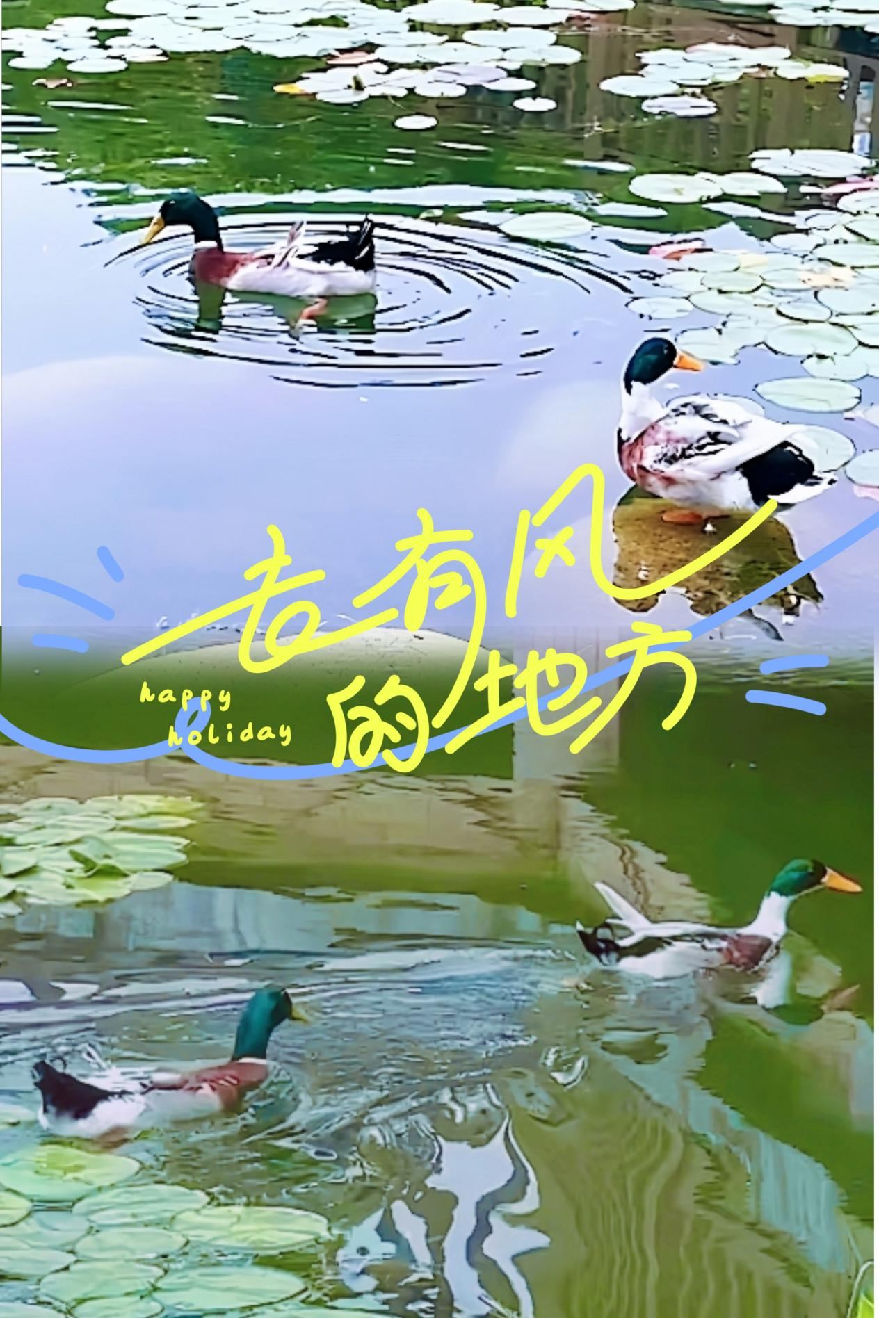 2024湖北春游03.png